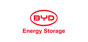 BYD